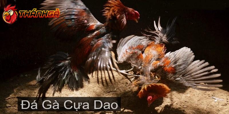 Chia sẻ mẹo cá cược đỉnh cao