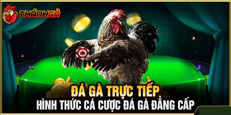 Những ưu điểm chỉ có tại Thánh Gà